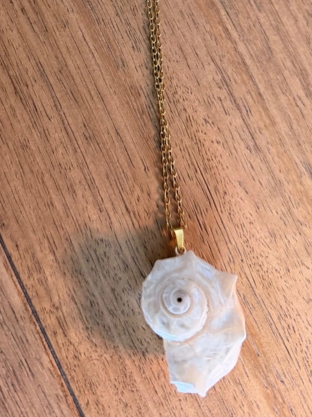 Seashell necklace